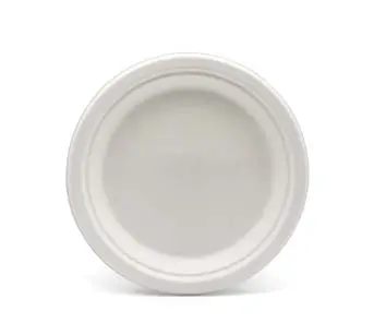 8 inch Waterproof Sustainable Durable Biodegradable Plant-based Microwave Safe Disposable Salad Plate