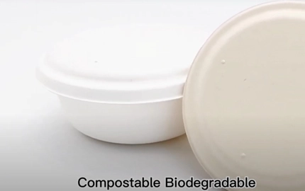 Bagasse Disposable Biodegradable Round Bowl