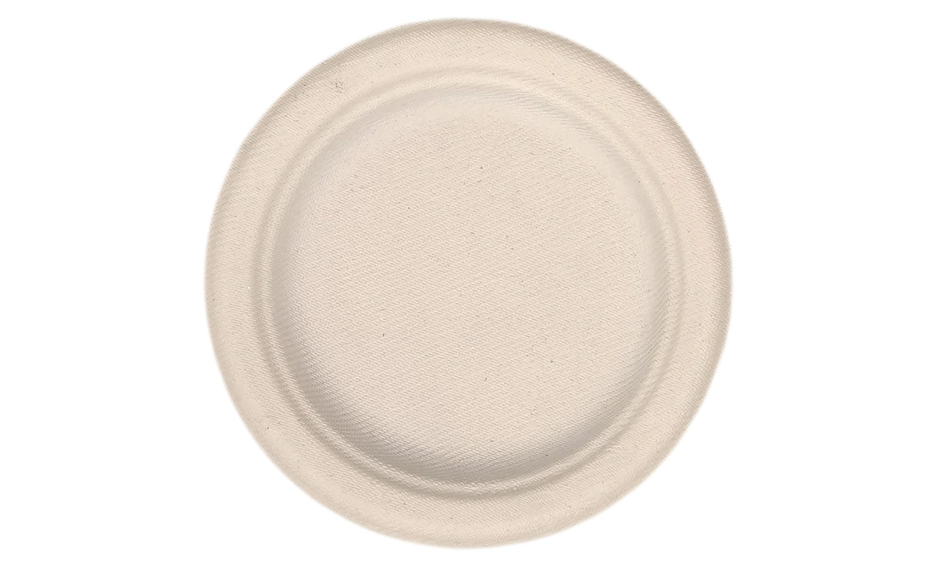 6 disposable plates
