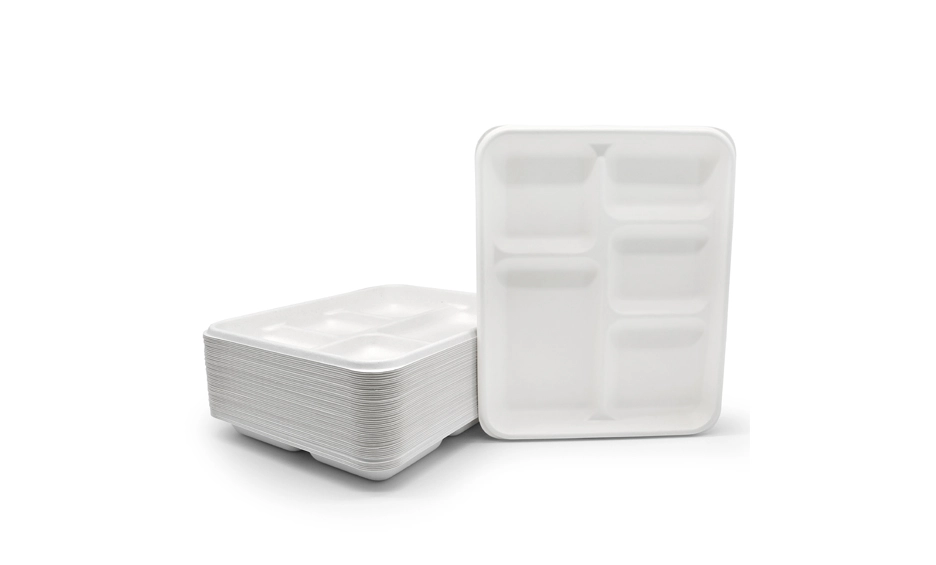 biodegradable 5 compartment trays