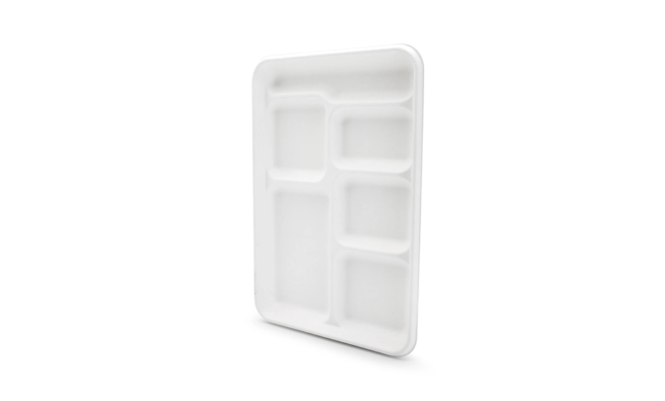 compartment trays disposable
