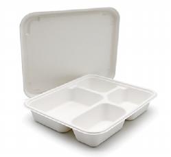 disposable meal tray with lid