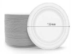 white biodegradable plates