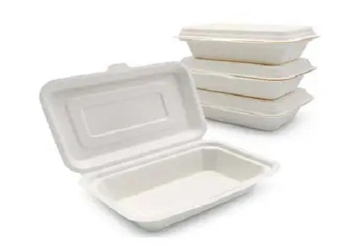 Eco-Friendly Packaging Solutions: Exploring Wholesale Biodegradable Containers