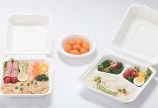 Bagasse vs. Plastic: Why Bagasse-Based Food Packaging Matters