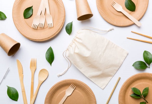 Takeout With a Twist: The Eco-Friendly Choice of Wholesale Sugarcane Biodegradable Plates