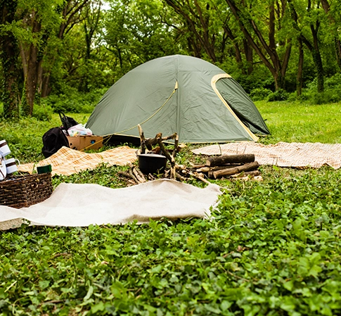 Compostable Tableware in Camping