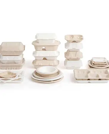 Bagasse Tableware