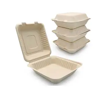 1200ml Disposable Biodegradable Takeaway Container