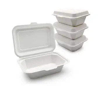 600 ml Biodegradable Sustainable Microwave Freezer Safe Bagasse Restaurant Disposable Lunch Container