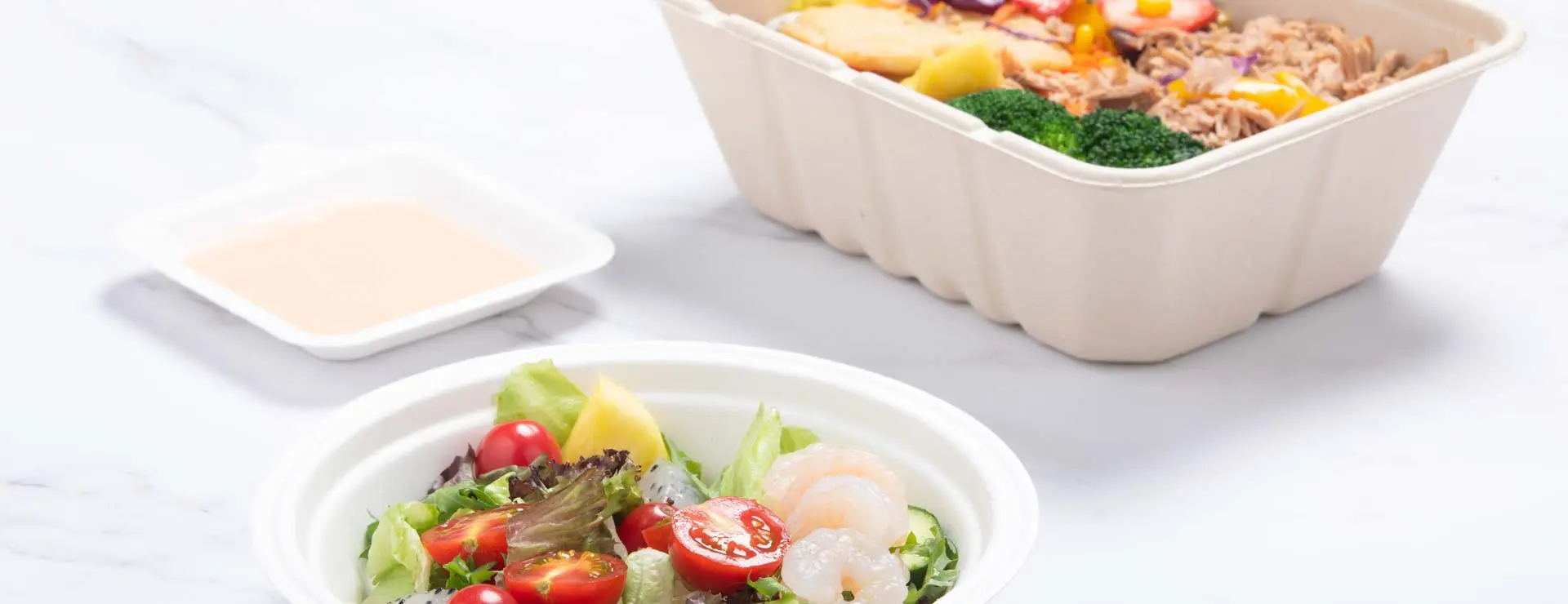 Bagasse Tableware