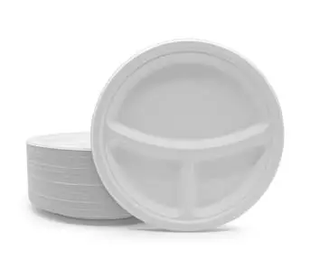 10 inch Microwave Safe Plant Fiber Biodegradable Freezer Safe Portable Bagasse 3 Compartment Disposable Plate