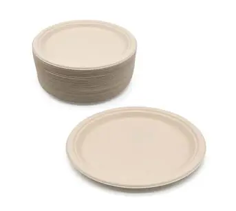 10 inch Bagasse Disposable Plate
