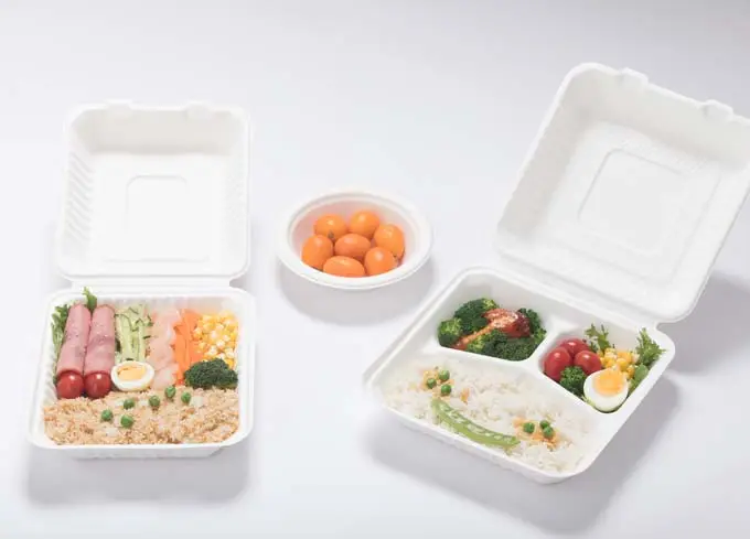 Compostable Container vs. Traditional Containers: A Comparison