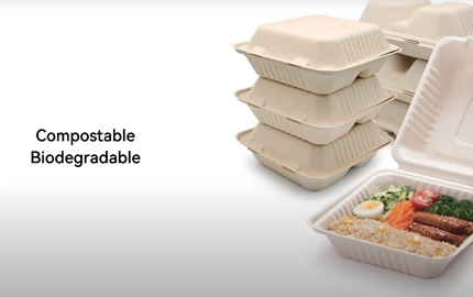Biodegradable Bagasse Fibre Clamshell Container