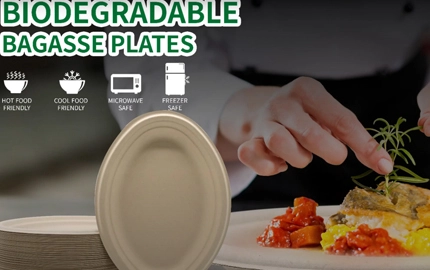 Biodegradable Plant Fibre Round Plate