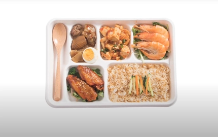 Compostable Sugarcane Bagasse Fibre Compartment Tray