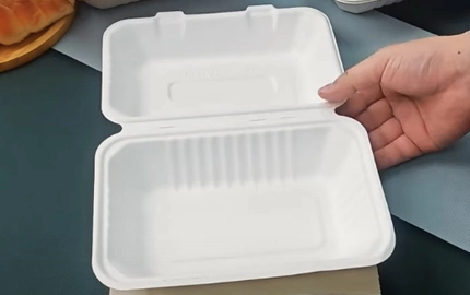 Compostable Tableware Waterproof Test