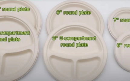Eco-friendly Fiber Pulp Takeaway Disposable Plate