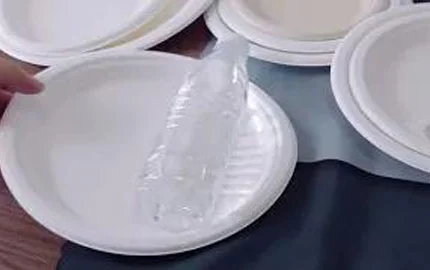 Sustainable Biodegradable Bagasse Plant-Based Disposable Round Plate