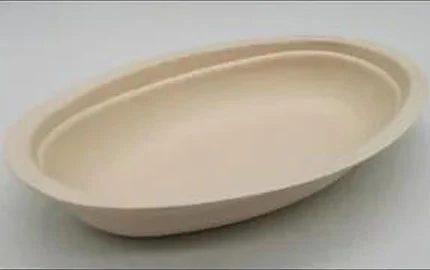 Compostable Sugarcane Bagasse Fibre Disposable Bowl