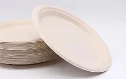 Compostable Disposable Bagasse Fiber Oval Plate