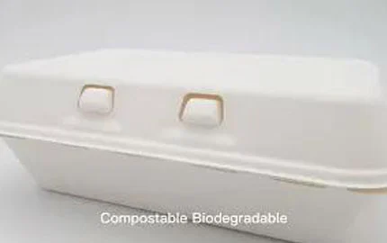 Bagasse Disposable Biodegradable 900ml Clamshell Box LZ-0188