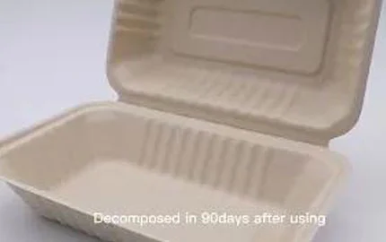 Sustainable Biodegradable Bagasse Fibre Plant-Based Disposable 900ml Clamshell Box