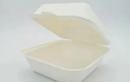 Bagasse Disposable Biodegradable 6 Inch Hamburger Clamshell Box