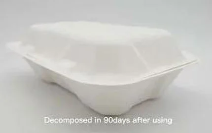 Sugarcane Bagasse Disposable Biodegradable 850ml Clamshell Box