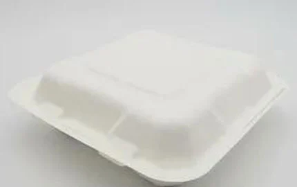 Eco-Friendly Fiber Pulp Takeaway 8 Inch Clamshell Box