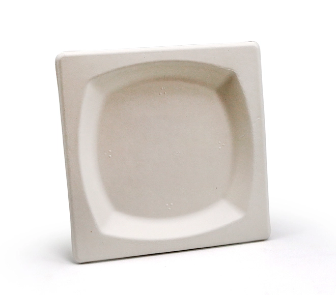 square biodegradable plates
