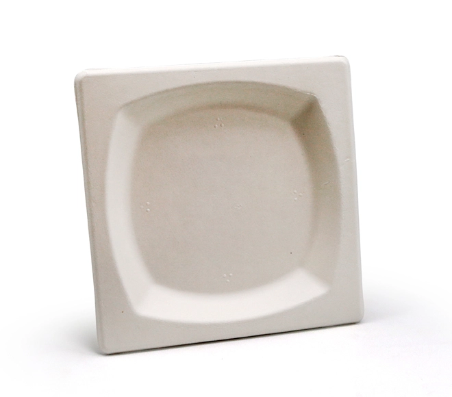 square biodegradable plates
