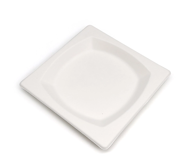 square disposable dinner plates
