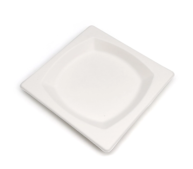 square disposable dinner plates
