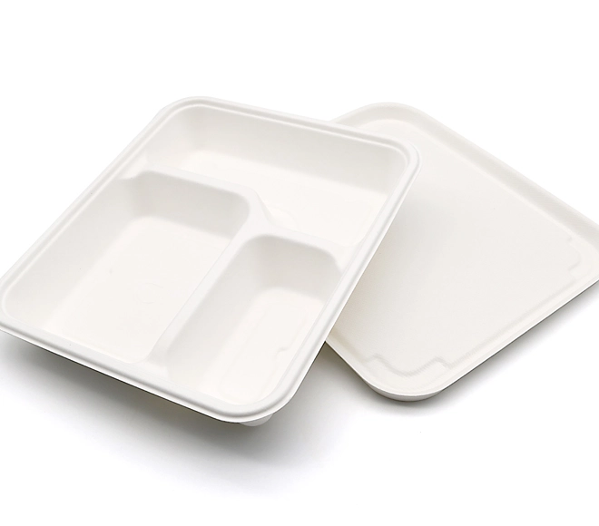 bagasse trays manufacturer
