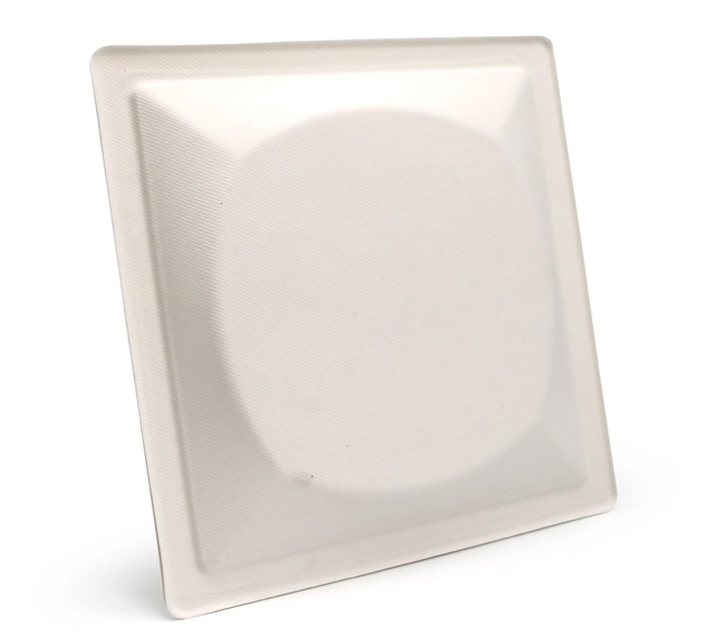 compostable square plates
