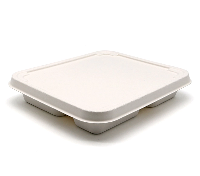 disposable party food trays
