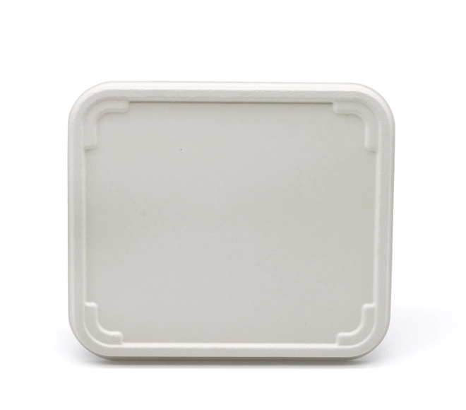 disposable food serving trays
