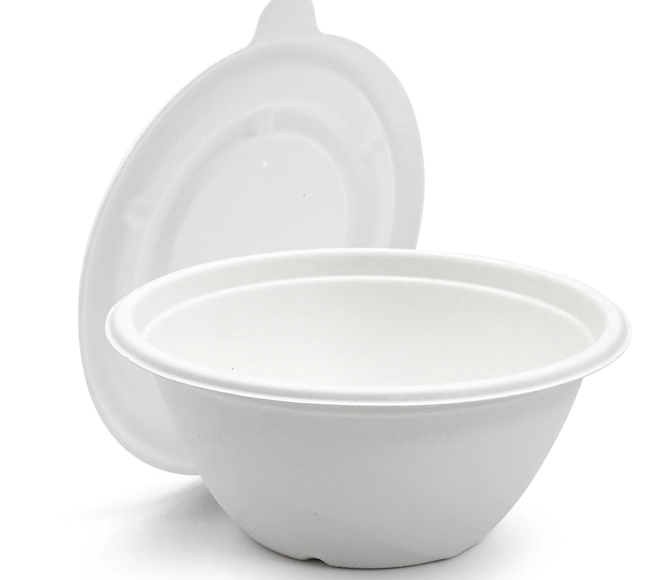 china bagasse bowl
