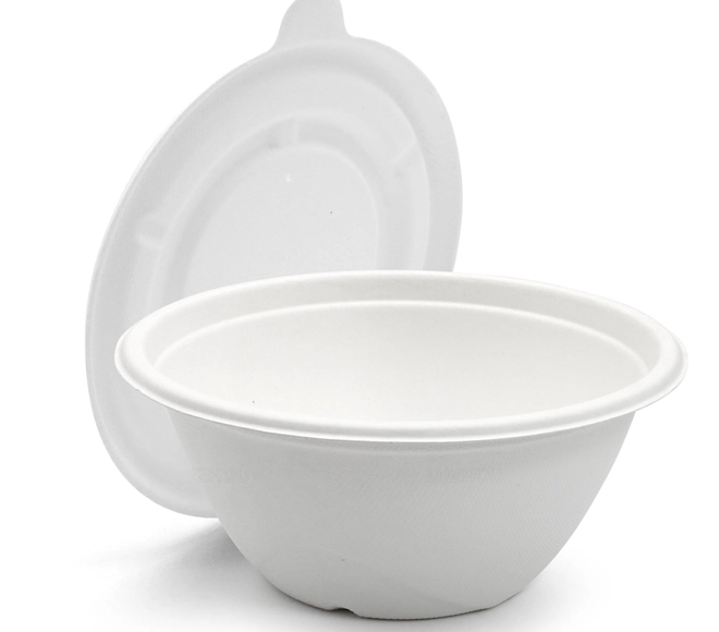 china bagasse bowl
