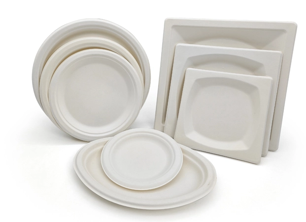 Compostable Plate