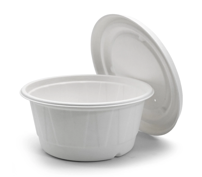 bowl bagasse
