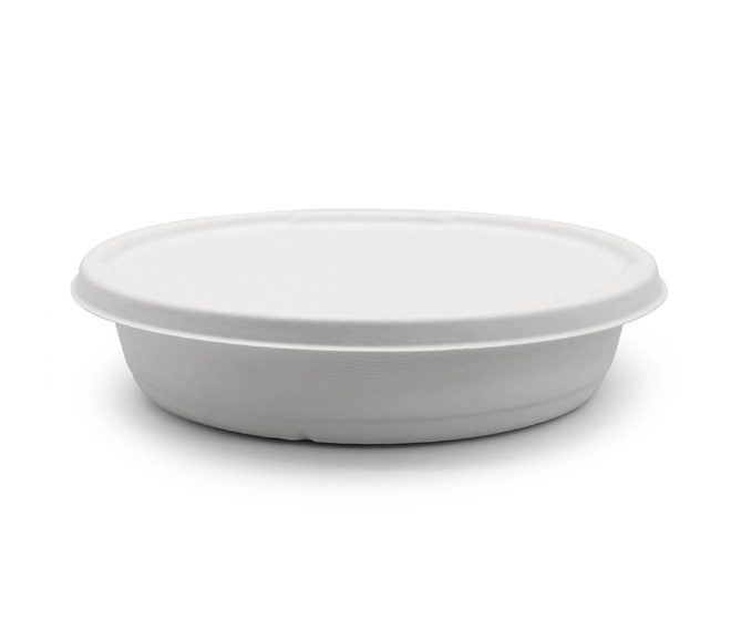 bowl bagasse