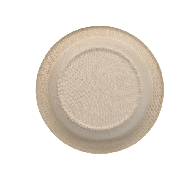 16 oz disposable bowls with lids