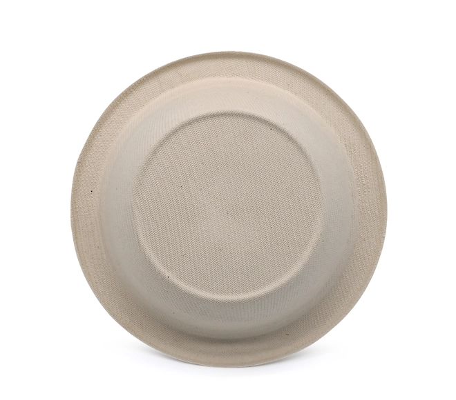 12 oz disposable bowls with lids