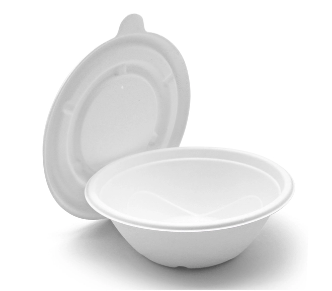 eco friendly disposable plates and bowls