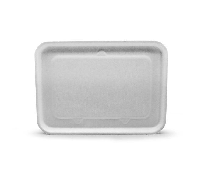 biodegradable takeaway food containers
