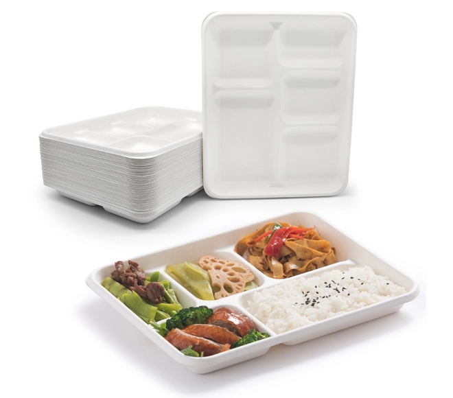 5 compartment compostable food trays