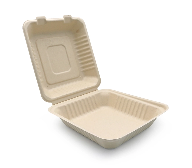 bagasse based food packaging